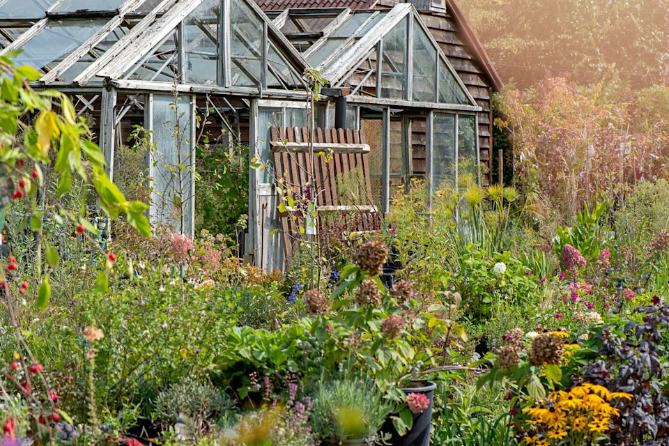 greenhouse surrounded by a diverse garden