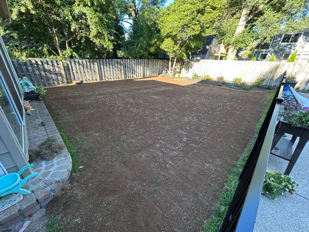 First lawn renovation, hope I did everything right First lawn renovation, hope I did everything right