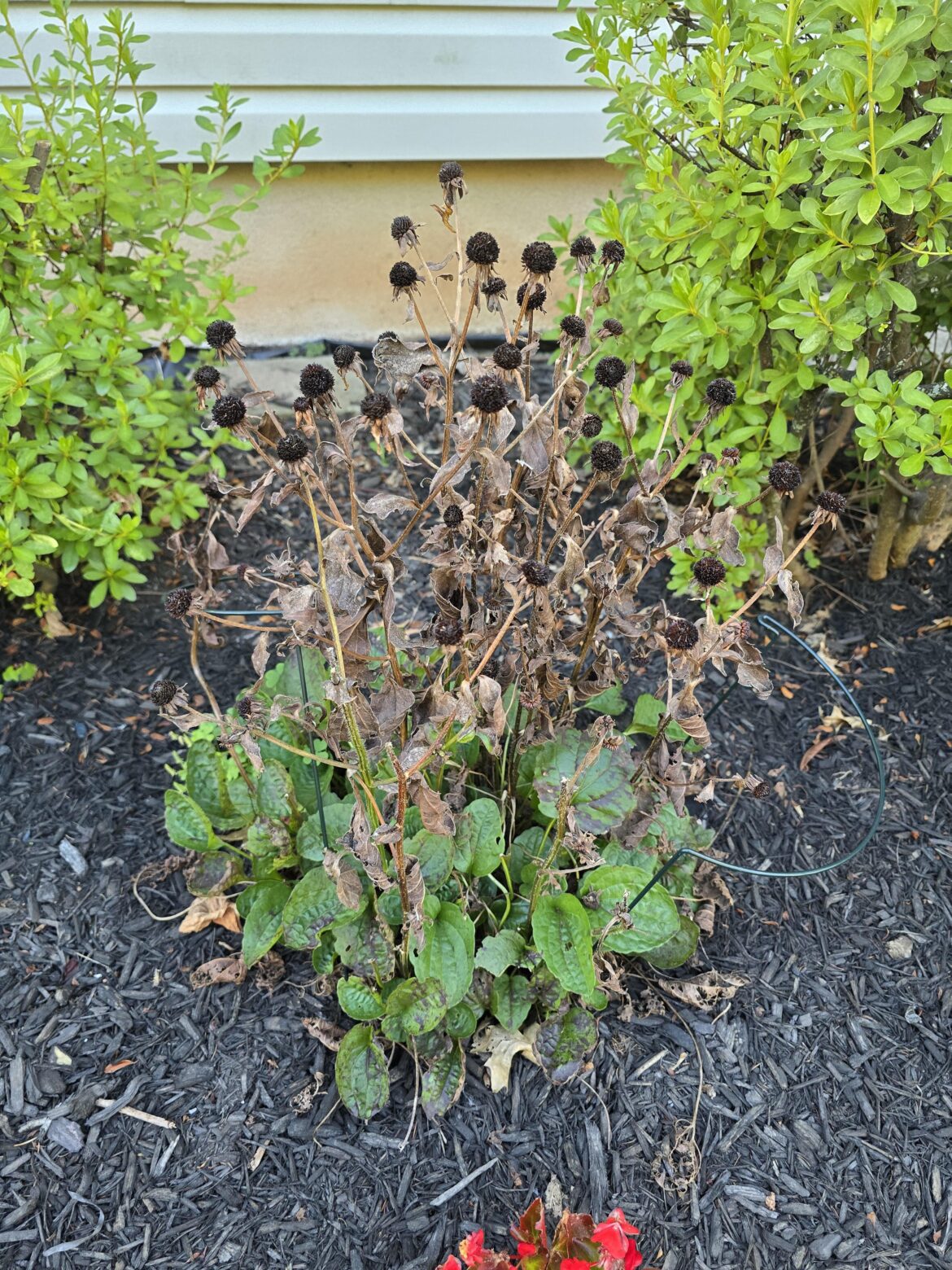 What do I do with this ?