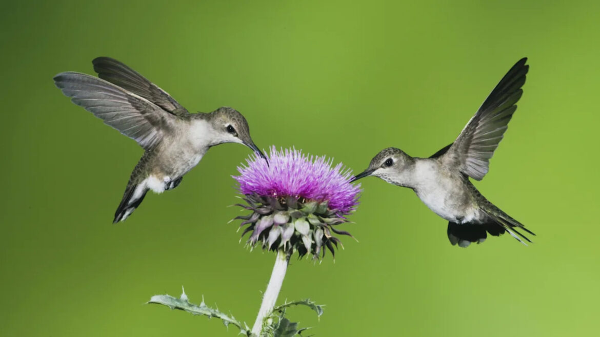 Yahoo lifestyle home