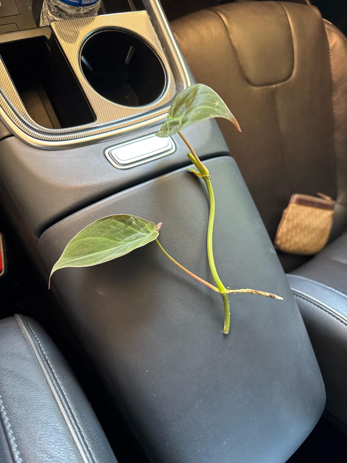 First proplift