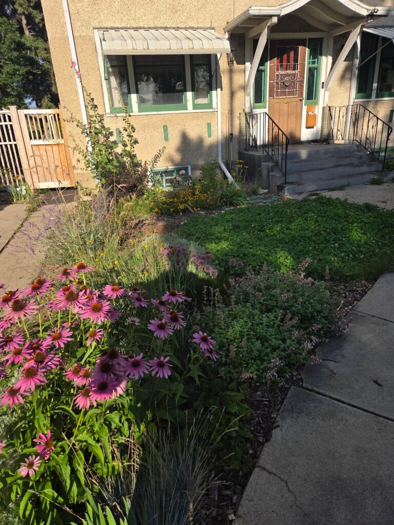 Clover growing rapidly and ruining my vision for the yard. Just tear it out?. Clover growing rapidly and ruining my vision for the yard. Just tear it out?.