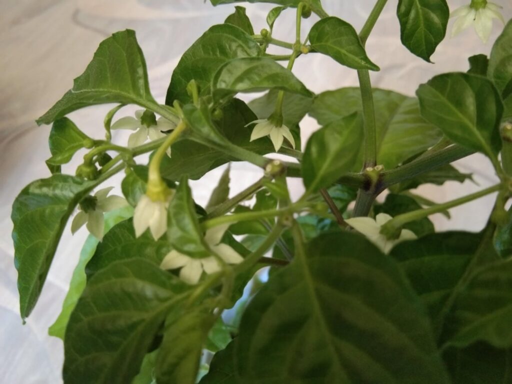 The day before yesterday... yesterday....today...