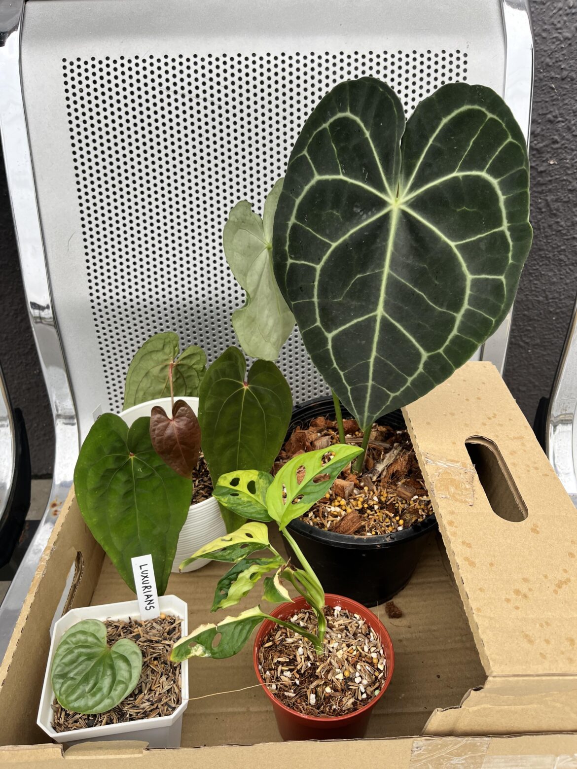 I lost everything and was homeless, so I am thankful for friendly faces at the expo who were willing to give discounts to start again!