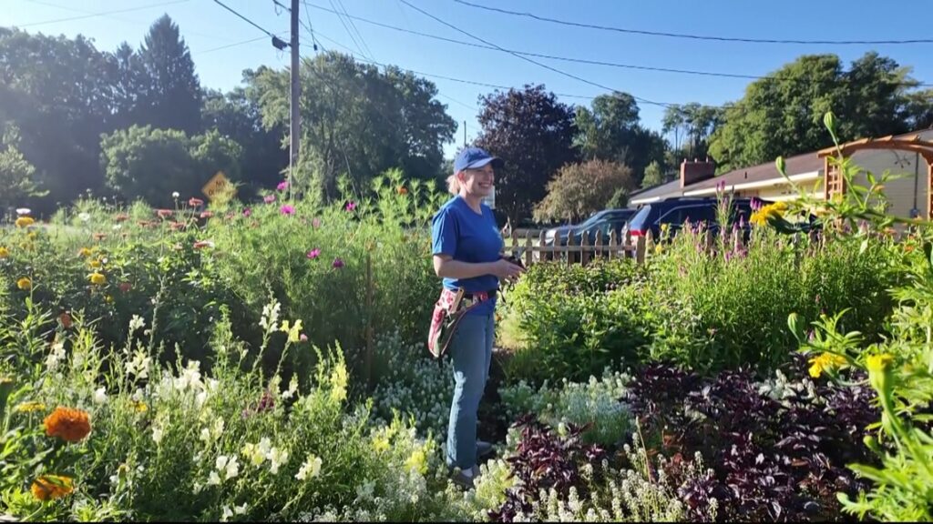 Grand Rapids nonprofit helping build gardens with native plants