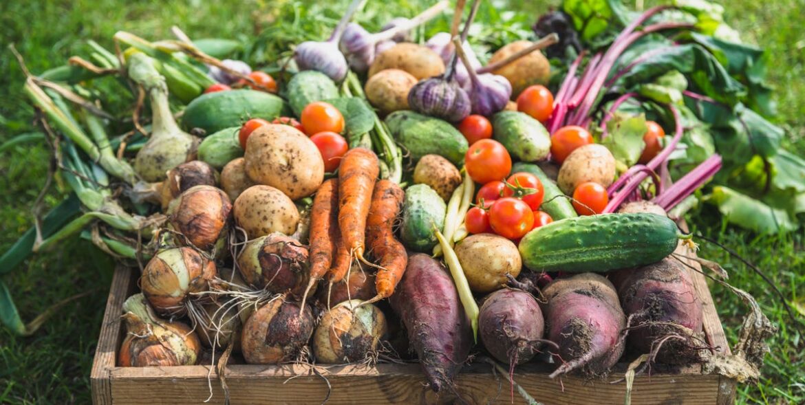 15 Easy Crops to Grow in Your Fall Vegetable Garden 15 Easy Crops to Grow in Your Fall Vegetable Garden