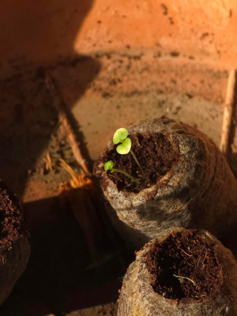 Help required, worried newbie