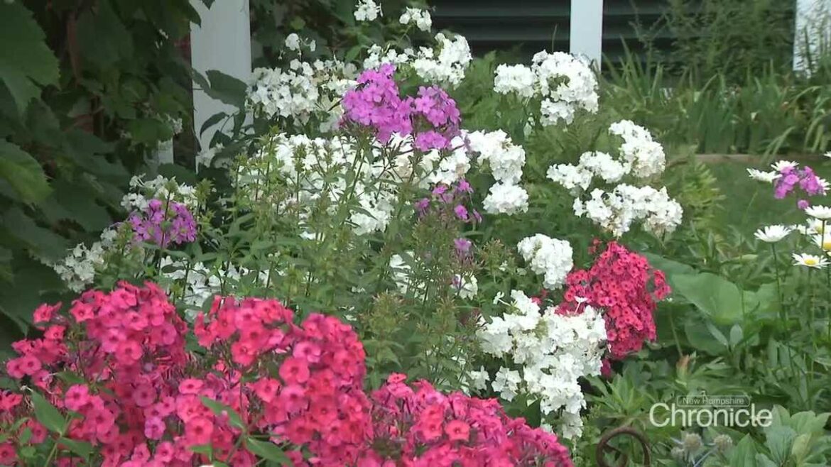 UNH Extension’s Master Gardener Program UNH Extension's Master Gardener Program