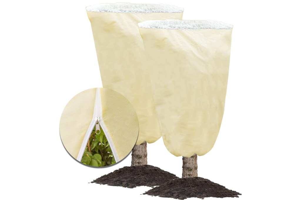 Two plants covered in beige zip up covers