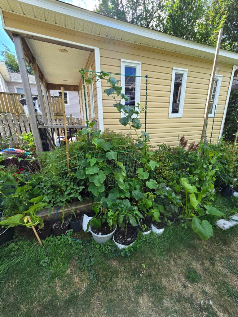 Backyard garden in Atlantic Canada