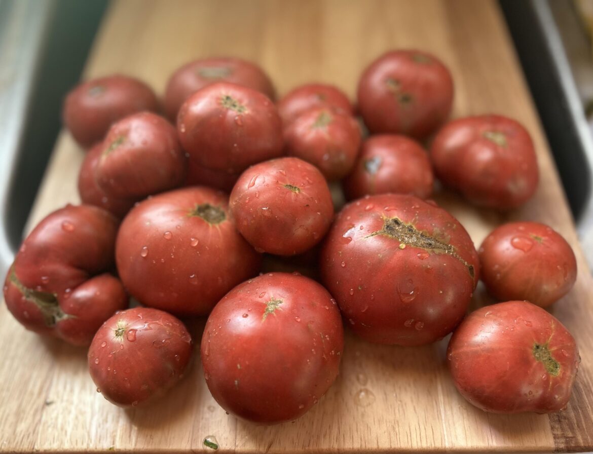 Last of the Cherokee Purples