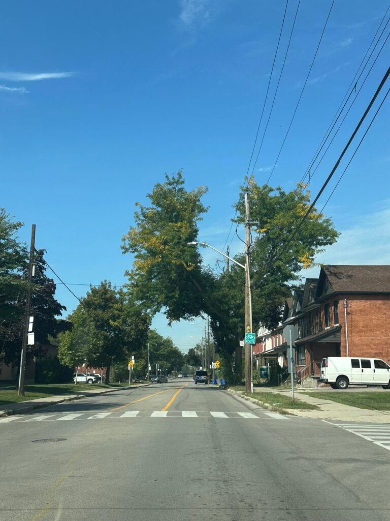 My city goes a little overboard trimming around power lines. Is this really the way?