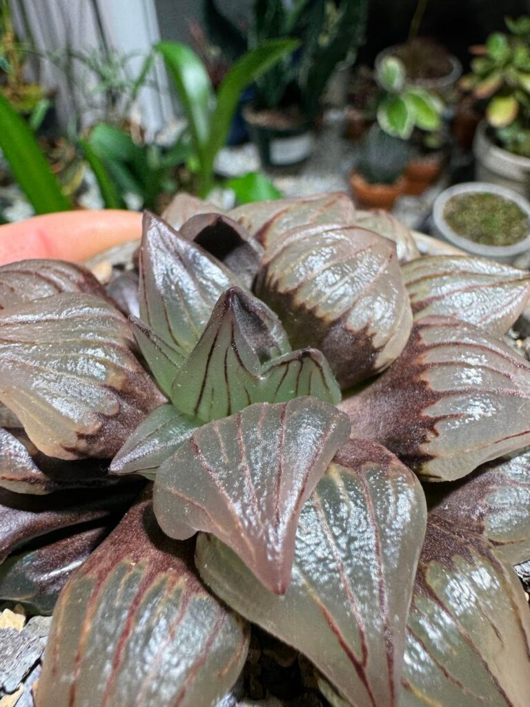 Heck yeah! Check out this freak!!