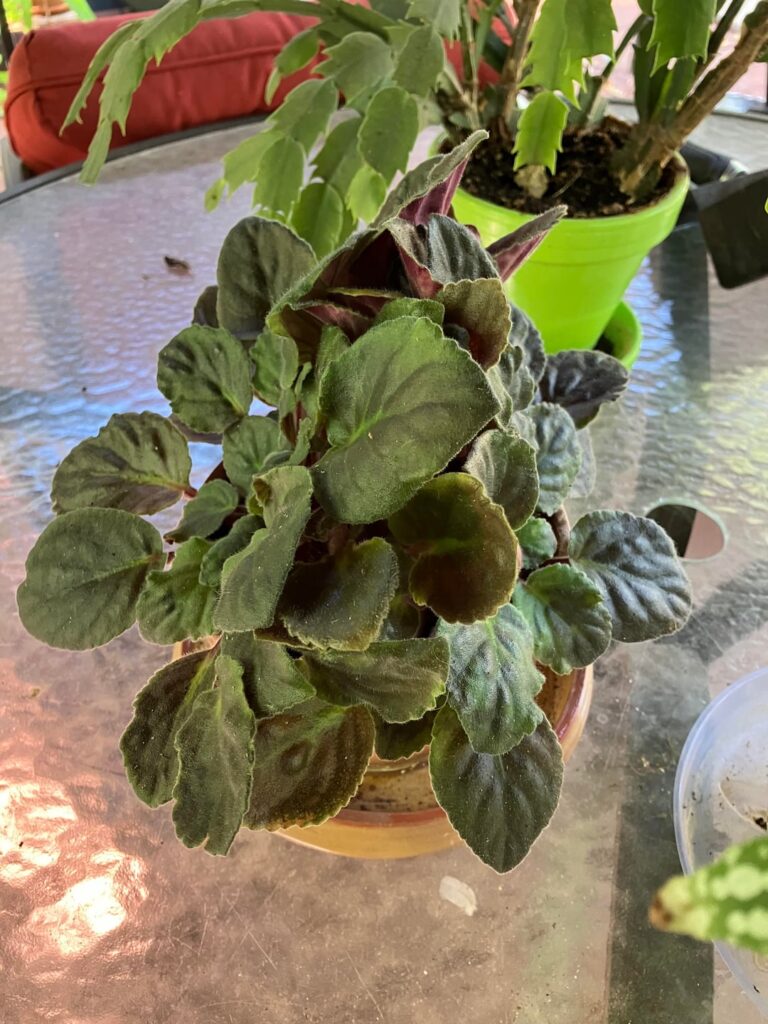 Do I divide them?