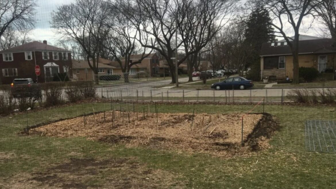 ‘It’s like night and day difference’ "That looks really awesome."