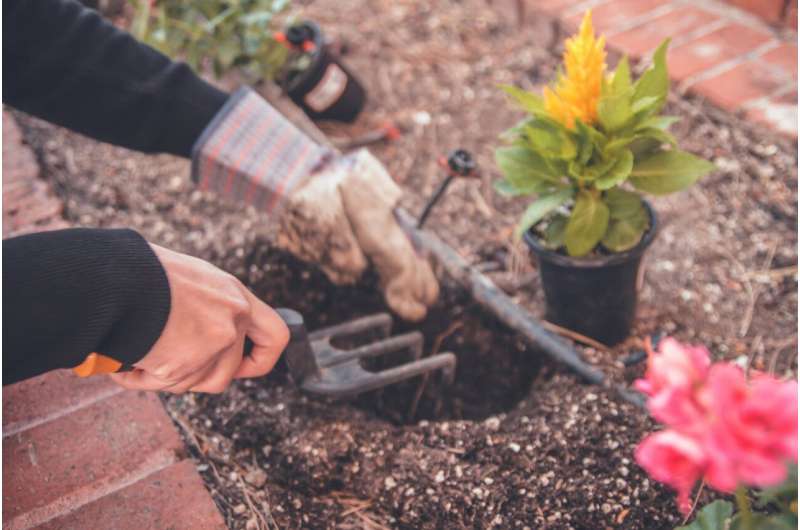 Credit: Unsplash/CC0 Public Domain gardening