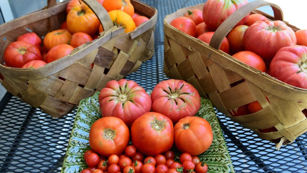 Adelanto community garden has grand opening date