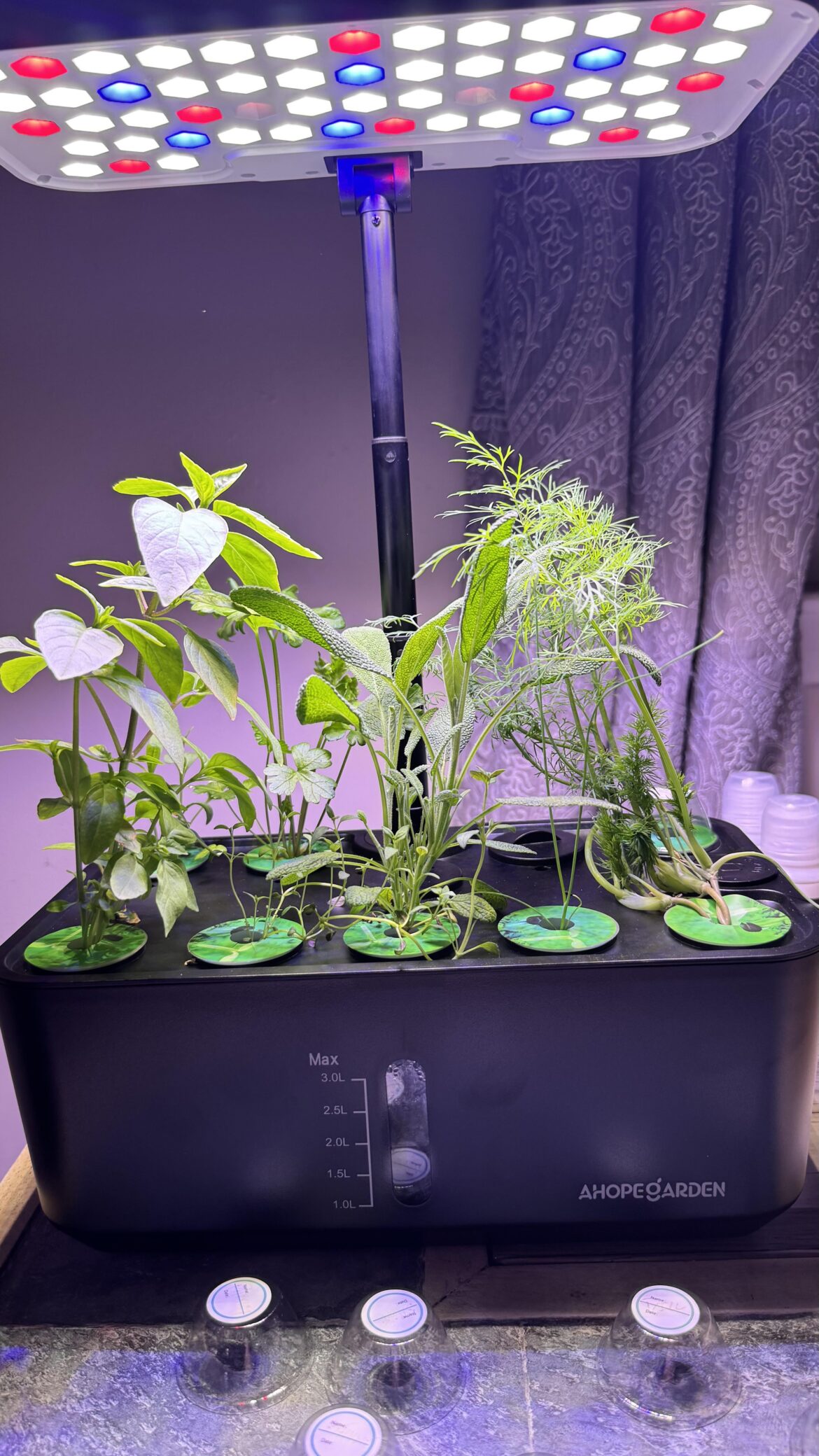 Where do I go from here?