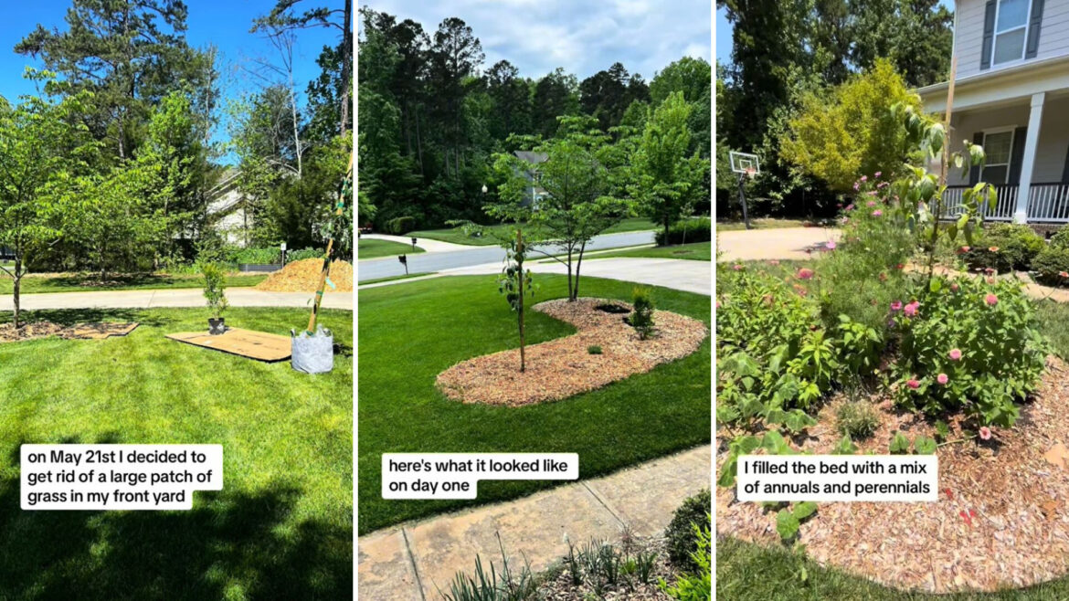 Homeowner shares stunning before-and-after video after ripping out patch of grass: ‘It looks so great’ The creator went into detail about her process.