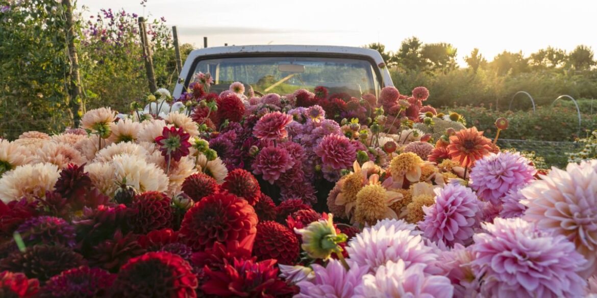 Truck Full of Flowers