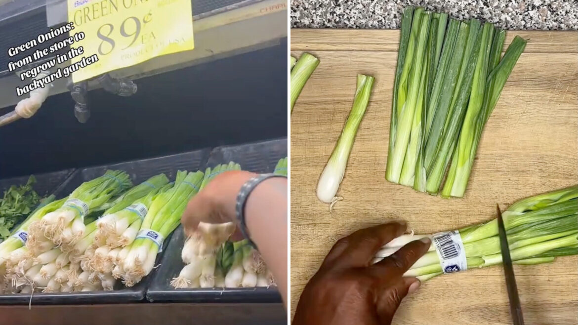 ‘I’ve been doing this for years’ Financially, it's a win.