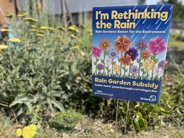 Through the City of Peterborough's Rain Garden Subsidy Program, eligible homeowners receive up to $1,000 toward the cost of designing and installing a rain garden, with support from GreenUP. The pilot program is coming to a close in fall 2005. Pictured is a rain garden at the east-end home of Peterborough resident Sheila Day, who took part in the program. (Photo: Yvonne Hollandy / GreenUP)