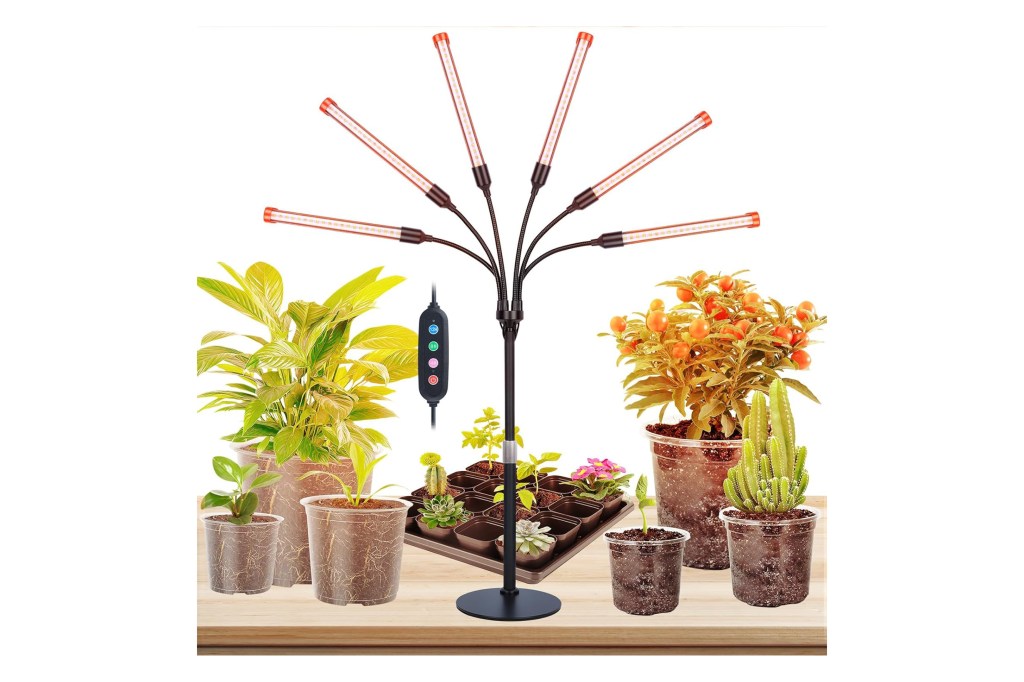 6-pronged light fixture surrounded by plants