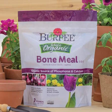 Burpee Organic Bone Meal