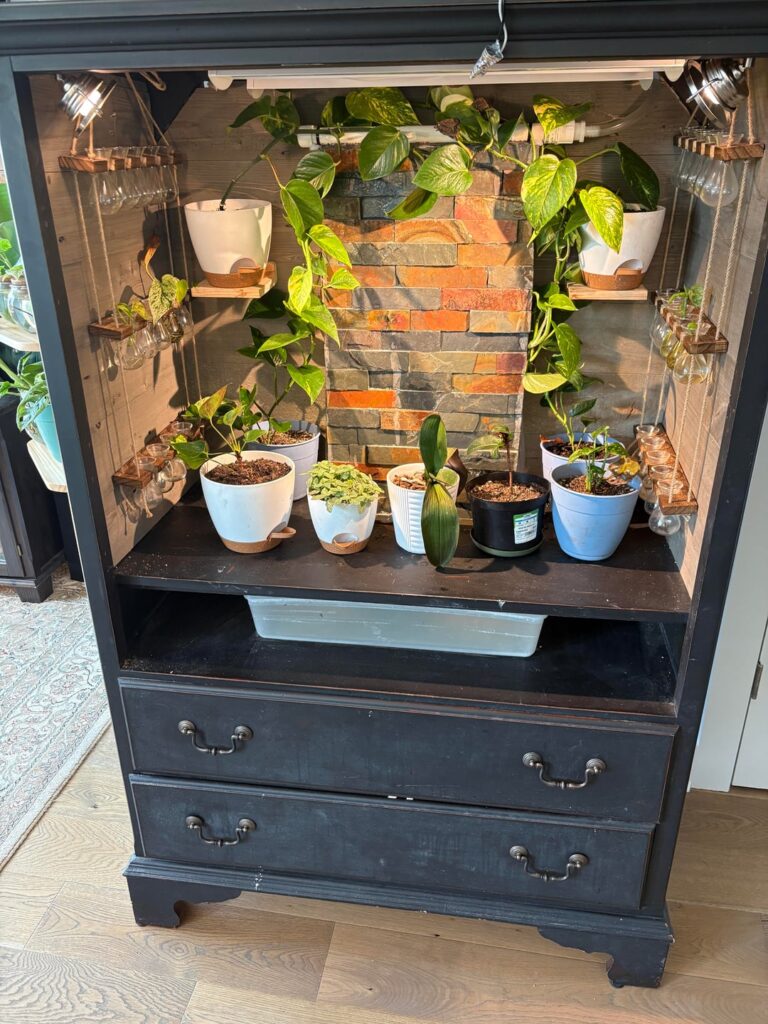 I leveled up my propagation-station I leveled up my propagation-station