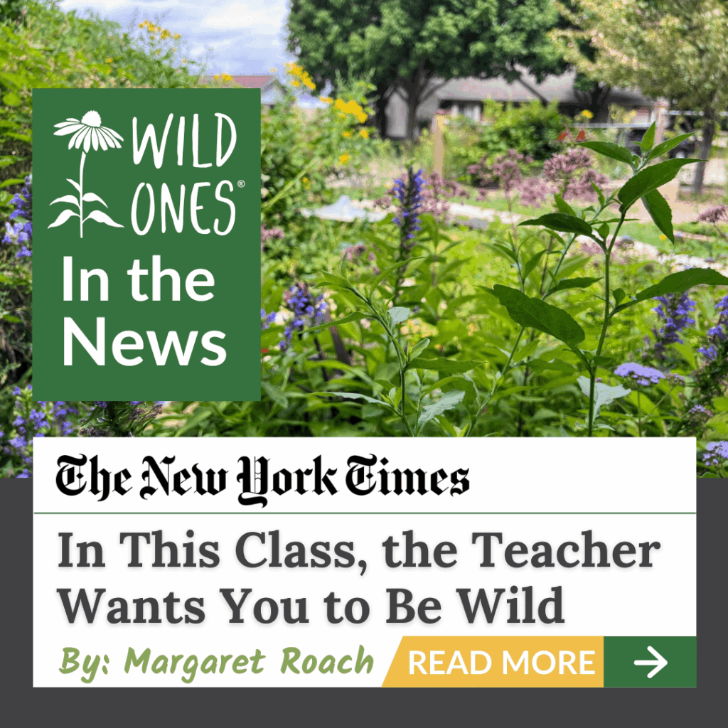 Rewilding is making headlines! Rewilding is making headlines!