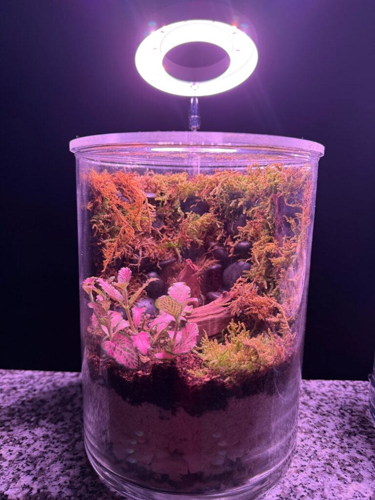 How is it looking