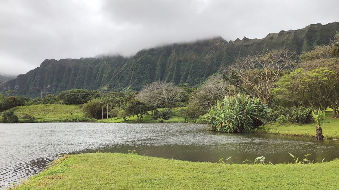 Hoomaluhia Botanical Garden will be closed once a week The Honolulu Department of Parks and Recreation is asking the public to vote in a survey on whether Hoomaluhia Botanical Garden should be closed on Tuesdays or Thursdays, starting in 2026. (Spectrum News/Sarah Yamanaka)