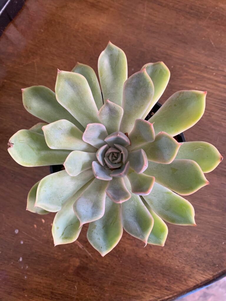 Help with ID please Help with ID please