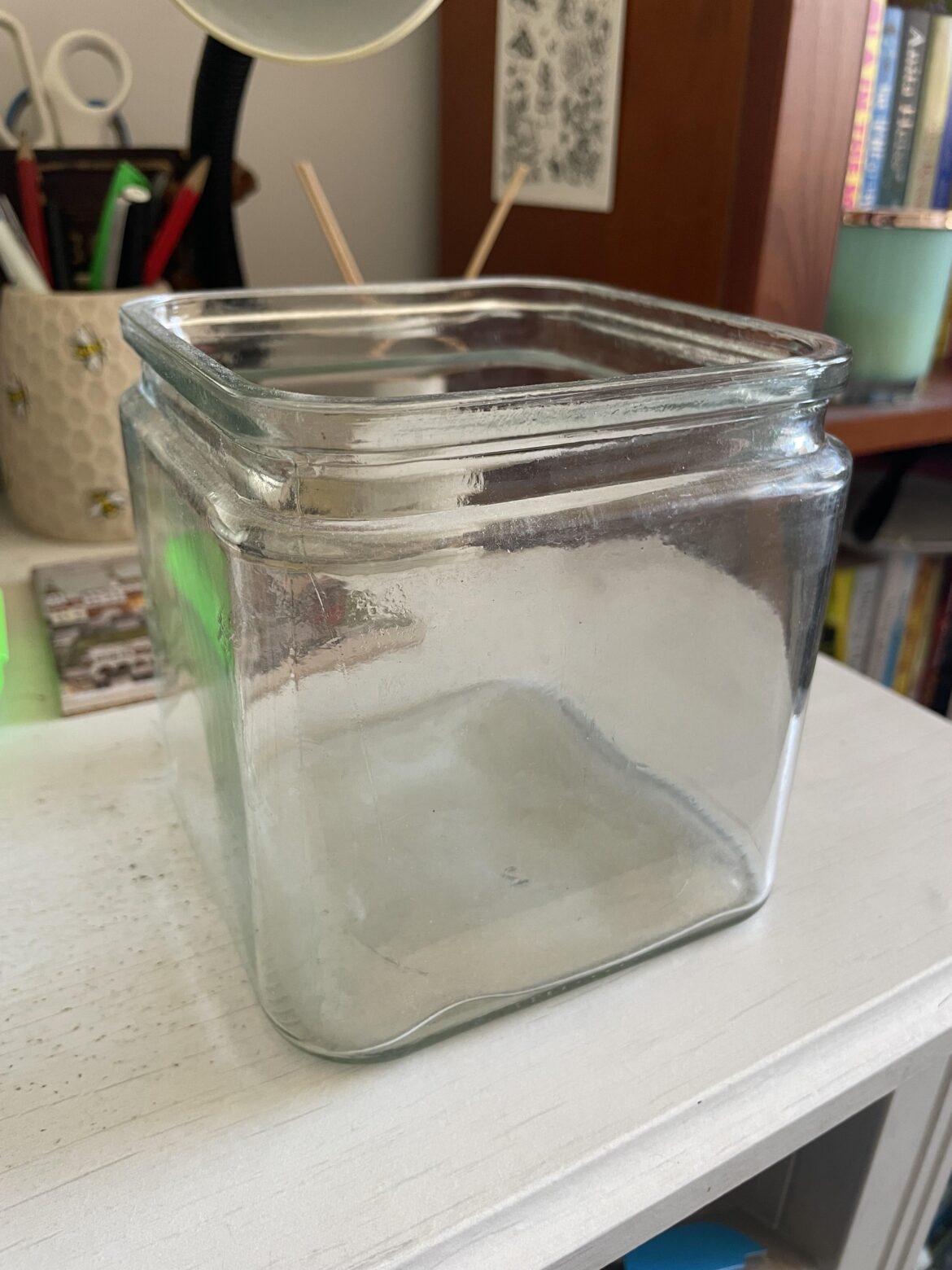 Can this jar be used for a terrarium? Can this jar be used for a terrarium?