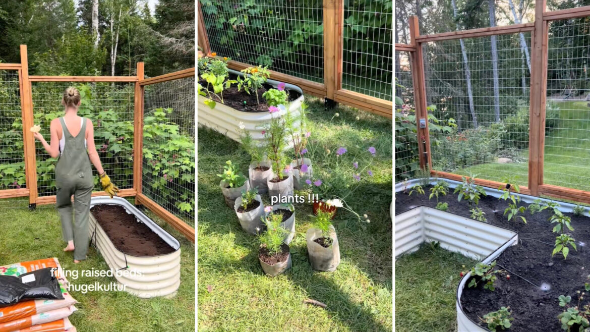 ‘Makes it so much healthier’ "Your plants look very happy with this method."