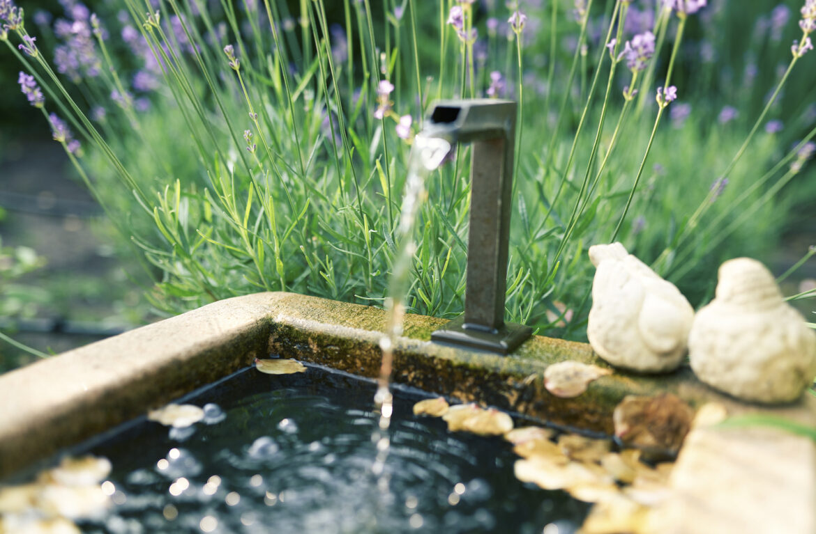 Homeowner captures beautiful video of tiny visitor enjoying garden fountain: ‘That’s incredibly delightful’ "This made me smile so much!"