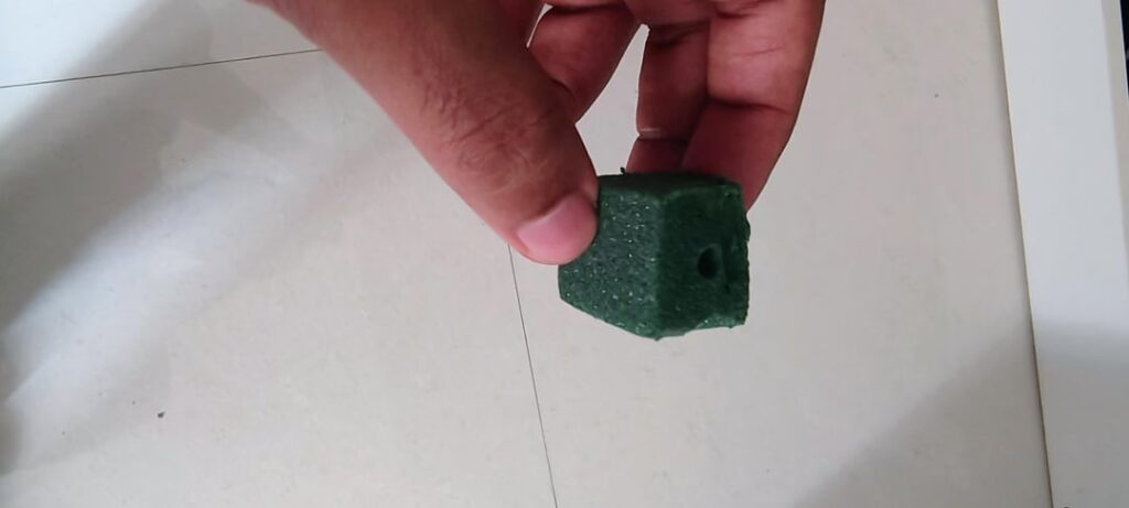 Germinating with styrofoam