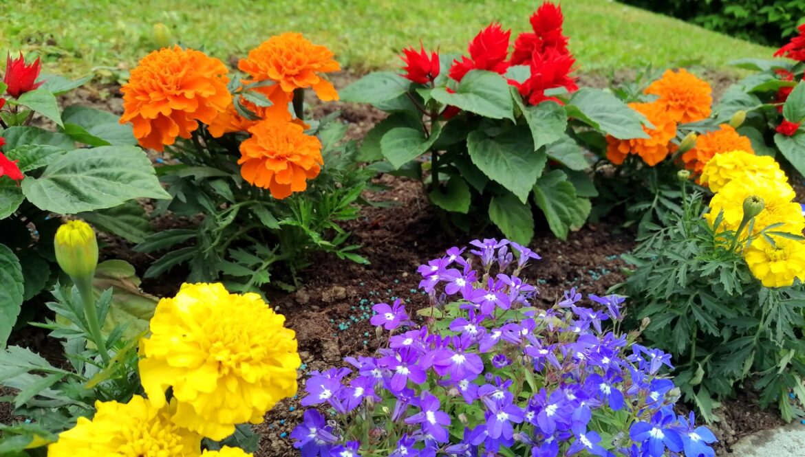 ‘My parents used to do this’ "Works a treat."