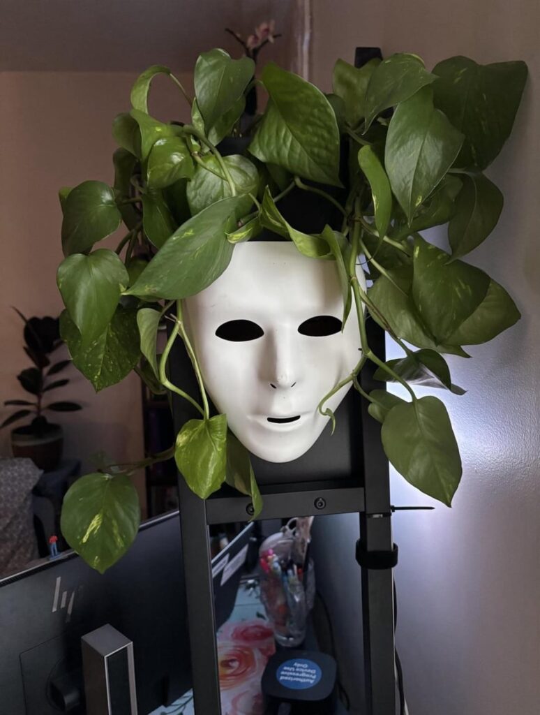 My favorite pothos about a year ago to today