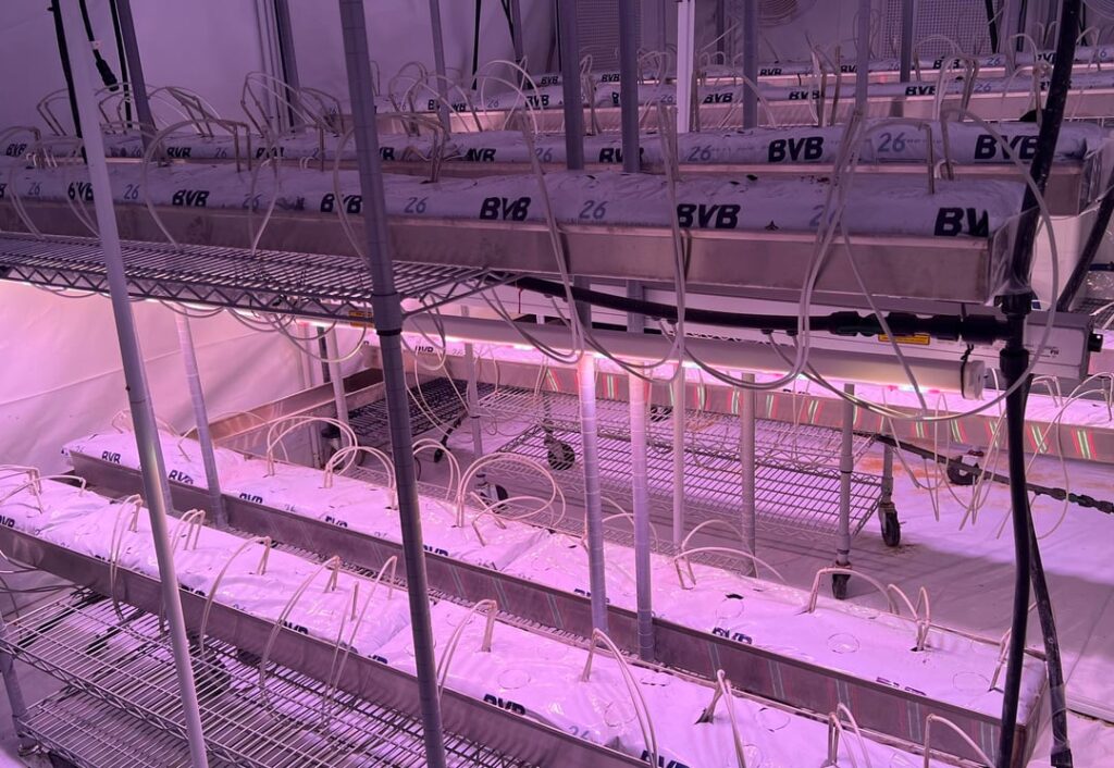 Strawberry hydroponics Y6 W -1. Off to a bang this year with plants being delivered end of this week. I'm starting a few weeks early to extend my growing season a bit this time around. Picking up from where we left off at the end of year 5, details within.