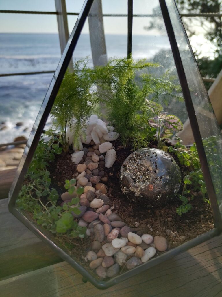 This is 1 years progress of my 2nd terrarium I've ever made. 🤗