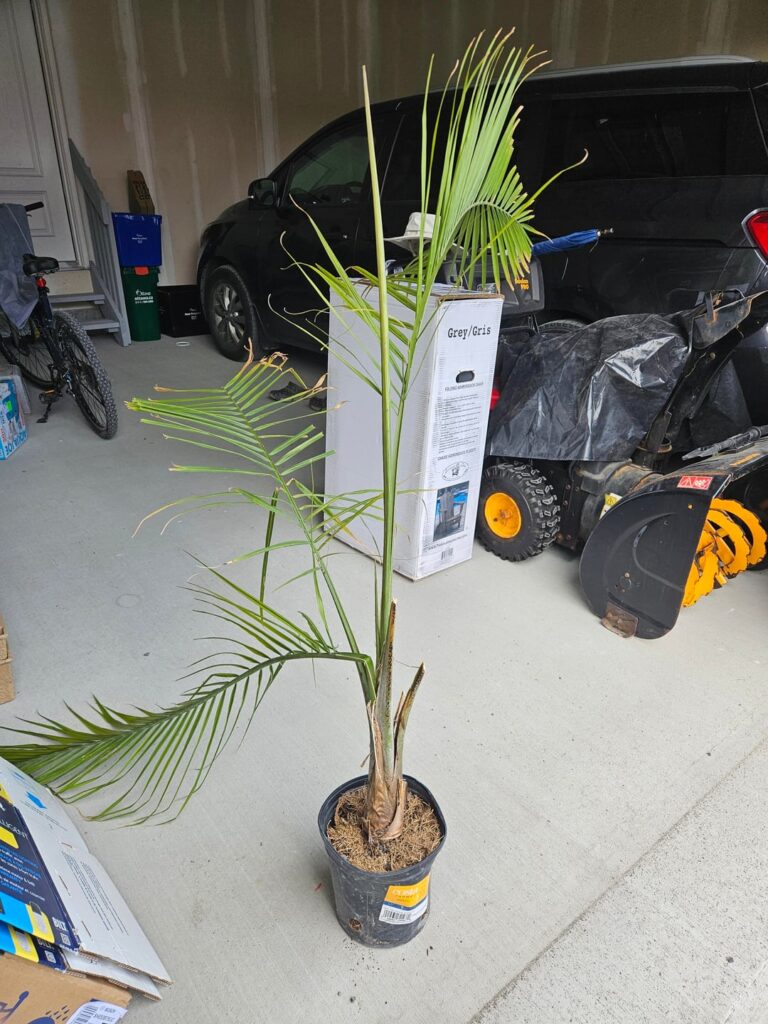 Can I save this?