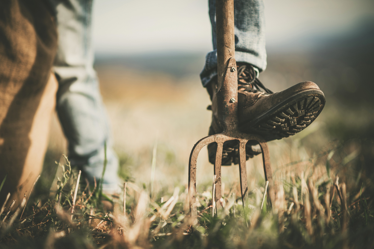 Autumn gardening 