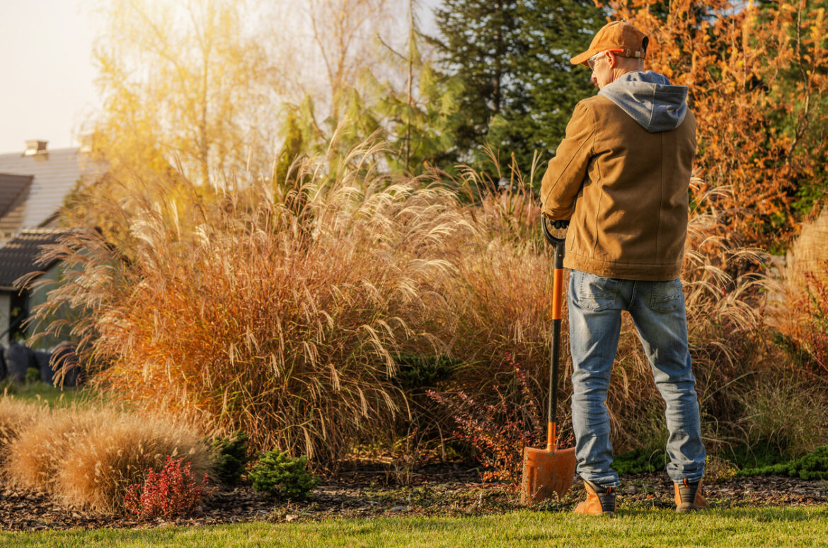 Gardening for Autumn Glory • Northern Life Gardening for Autumn Glory • Northern Life