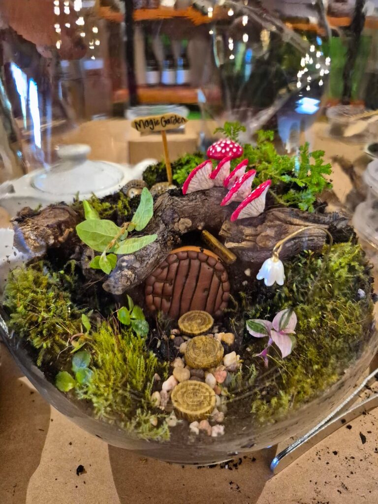 My first ever terrarium