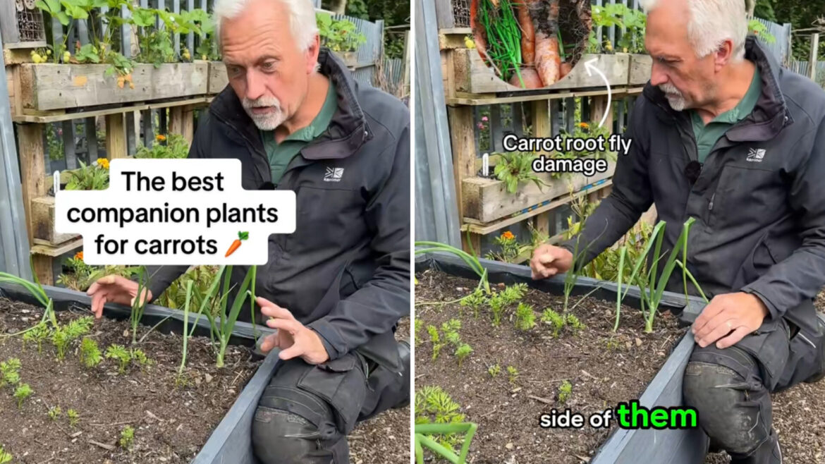 ‘I’ve done this purely by accident’ "Master gardener!"