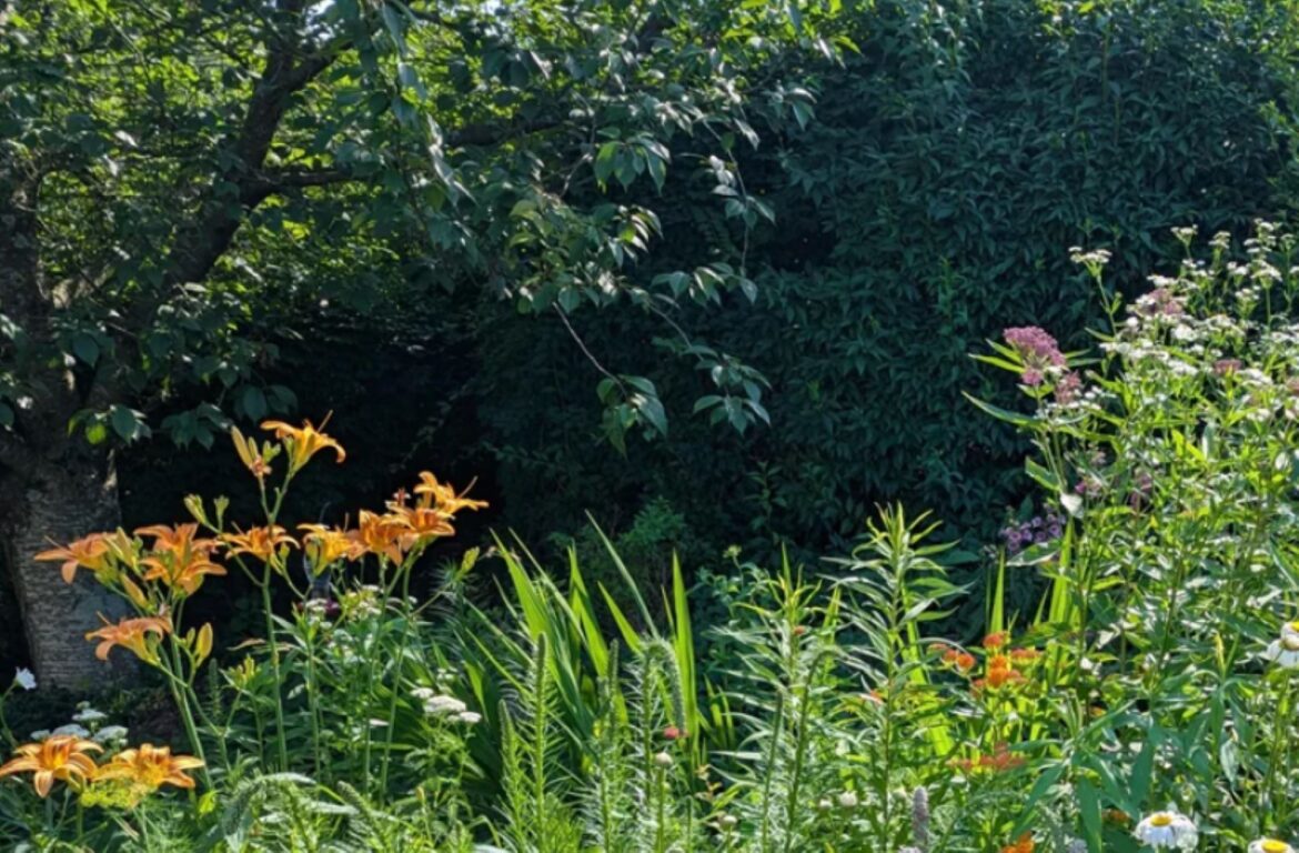 Resident celebrates win against HOA with sprawling garden: ‘You are my hero’ "Your community is lucky to have you!"
