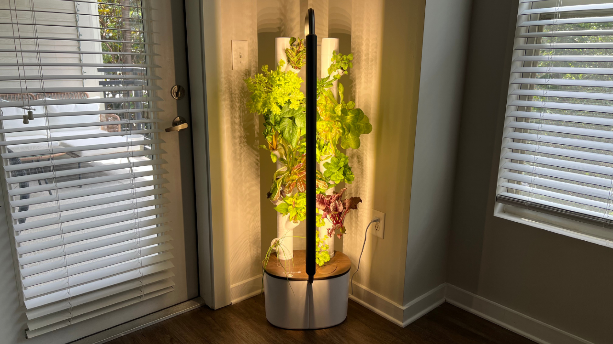 Gardyn Studio tower planter in the corner of a room