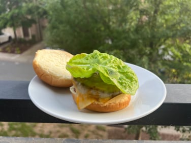 burger with lettuce