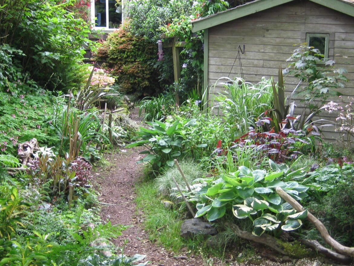 Coastal gardening: How to succeed in wind and microclimates A lush garden path winds past a variety of green plants and leads to a small wooden shed.